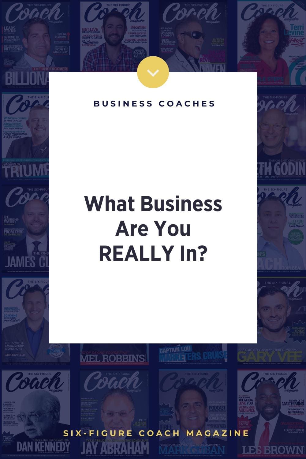 What Business Are You REALLY In? by Terri Levine