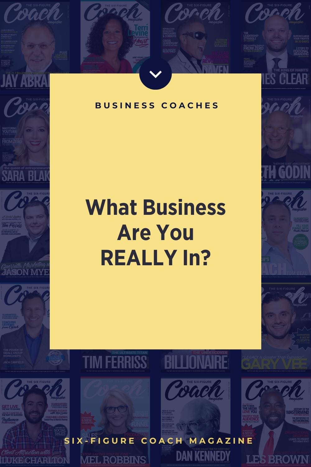 What Business Are You REALLY In? by Terri Levine