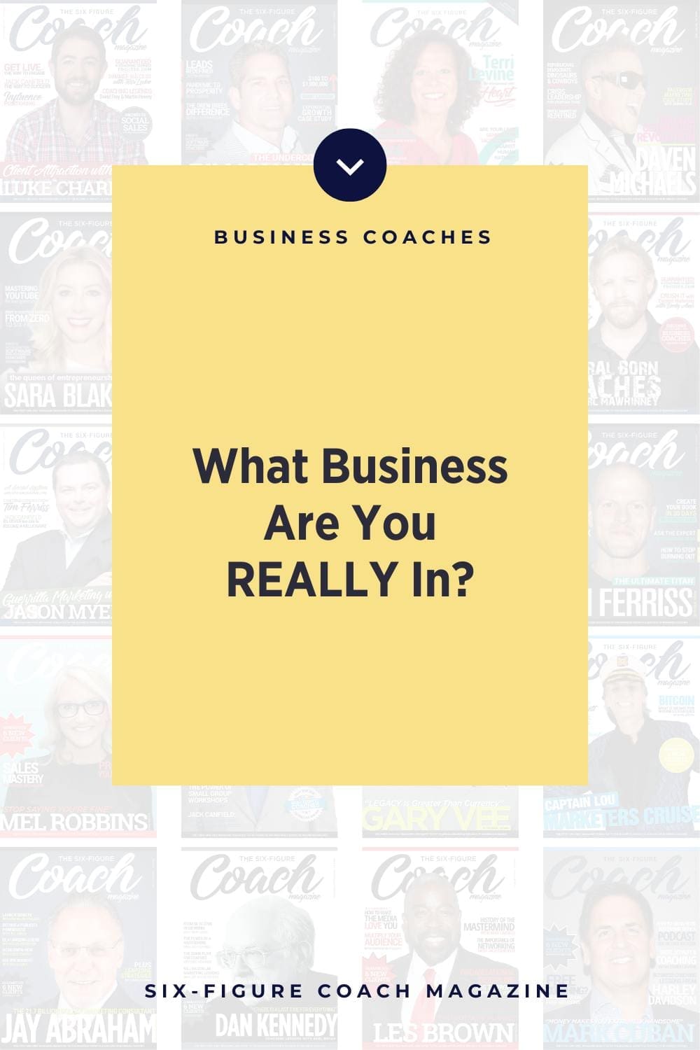 What Business Are You REALLY In? by Terri Levine