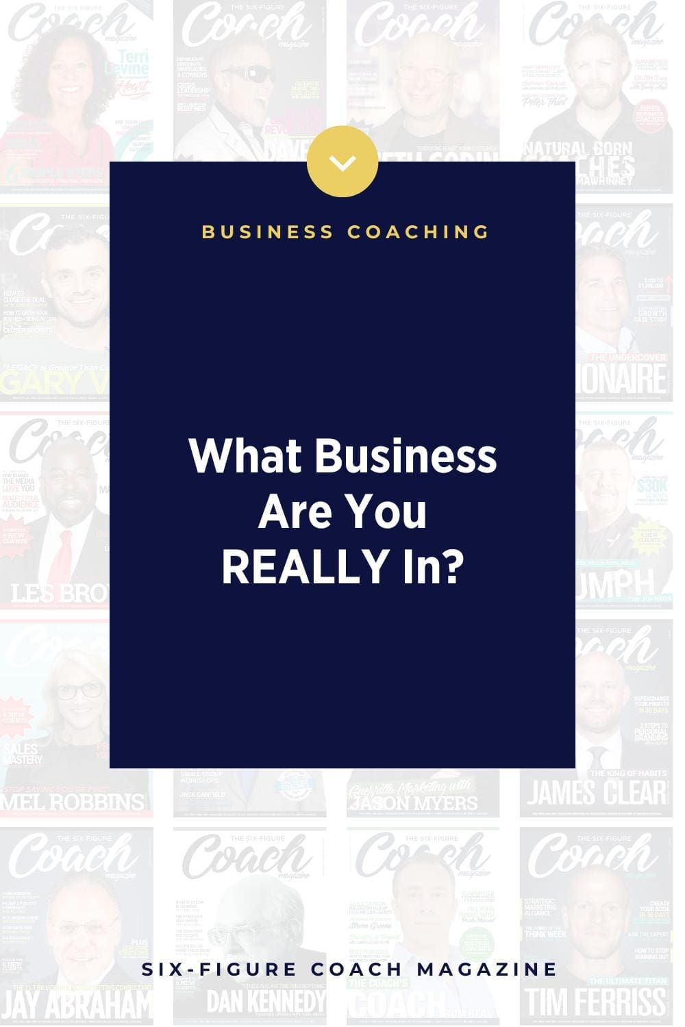 What Business Are You REALLY In? by Terri Levine