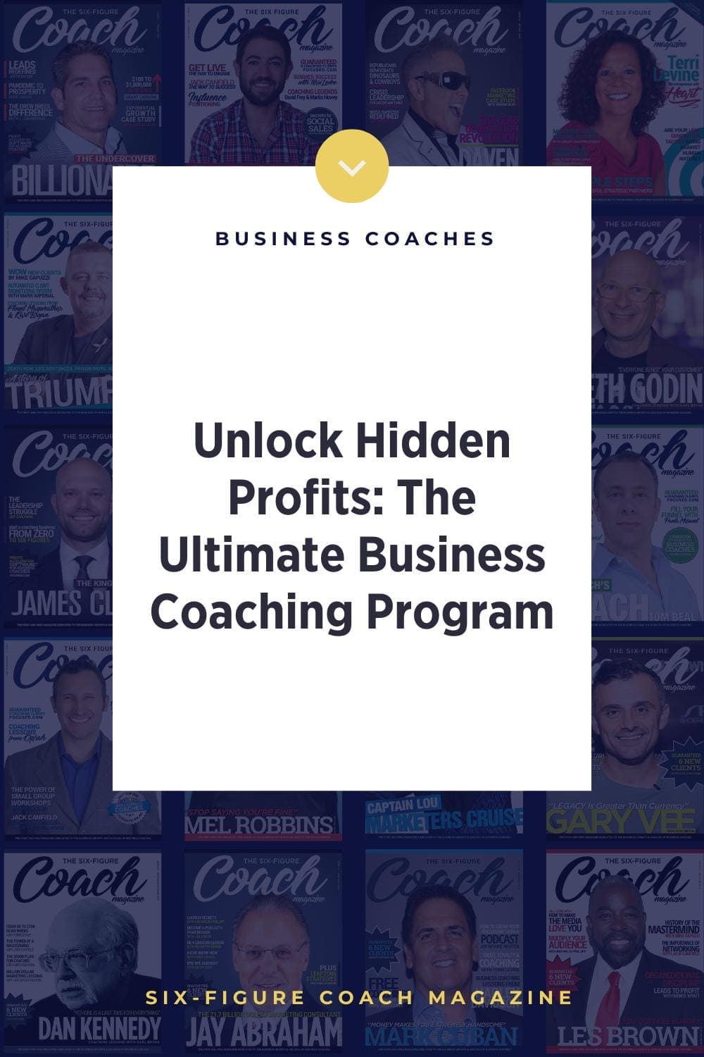 Unlock Hidden Profits: The Ultimate Business Coaching Program