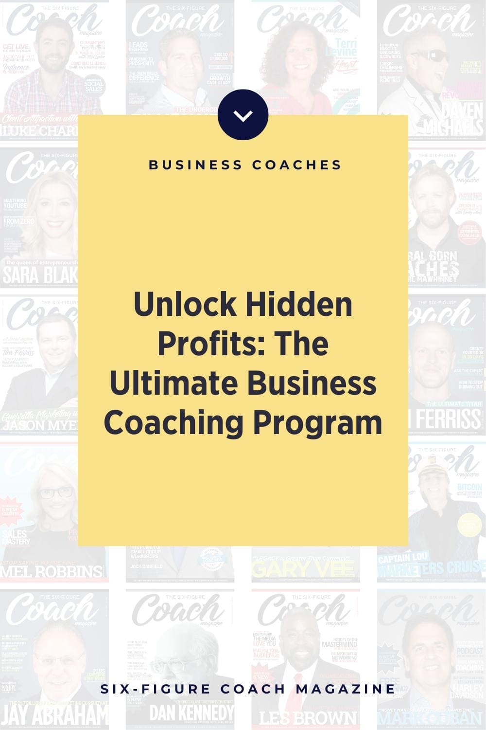 Unlock Hidden Profits: The Ultimate Business Coaching Program