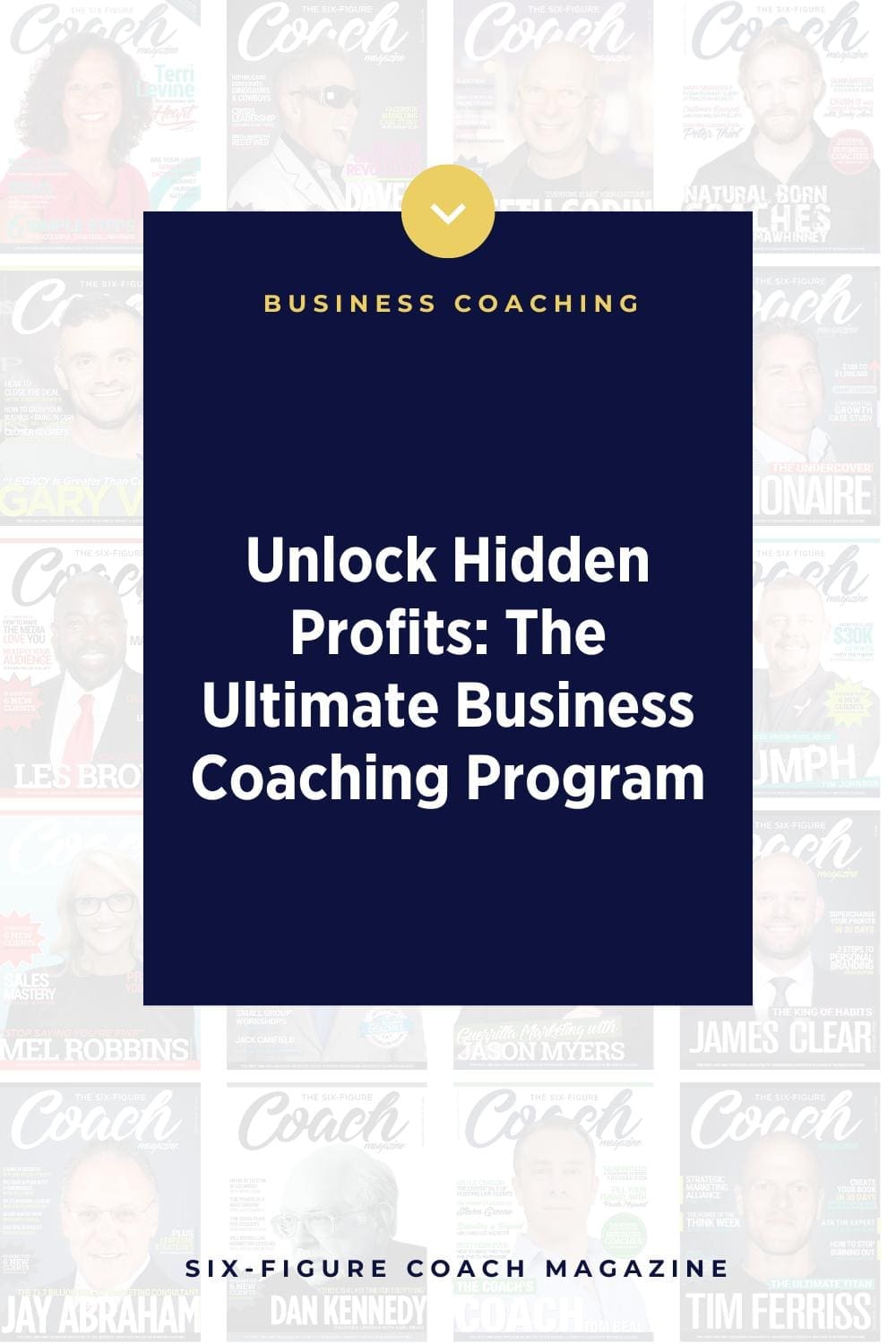 Unlock Hidden Profits: The Ultimate Business Coaching Program