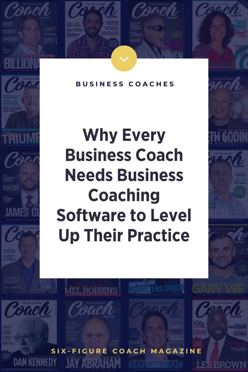 Why Every Business Coach Needs Business Coaching Software to Level Up Their Practice