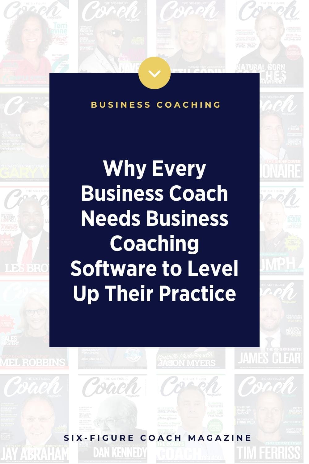 Why Every Business Coach Needs Business Coaching Software to Level Up Their Practice