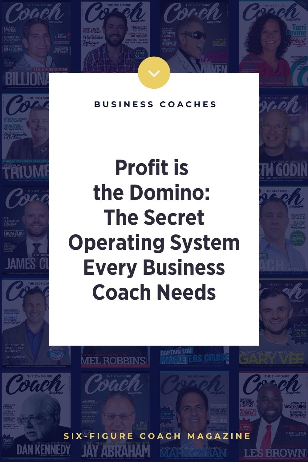 Profit is the Domino: The Secret Operating System Every Business Coach Needs