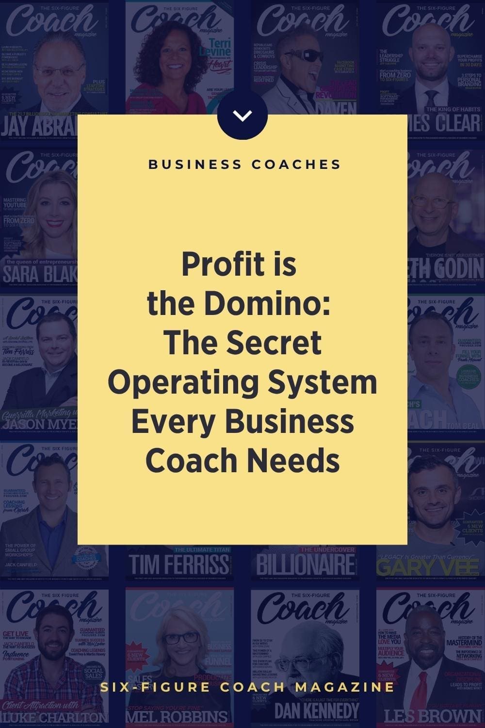 Profit is the Domino: The Secret Operating System Every Business Coach Needs
