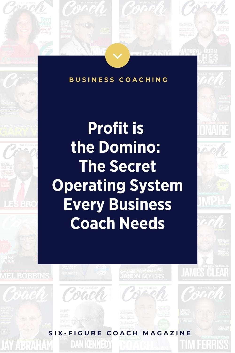 Profit is the Domino: The Secret Operating System Every Business Coach Needs